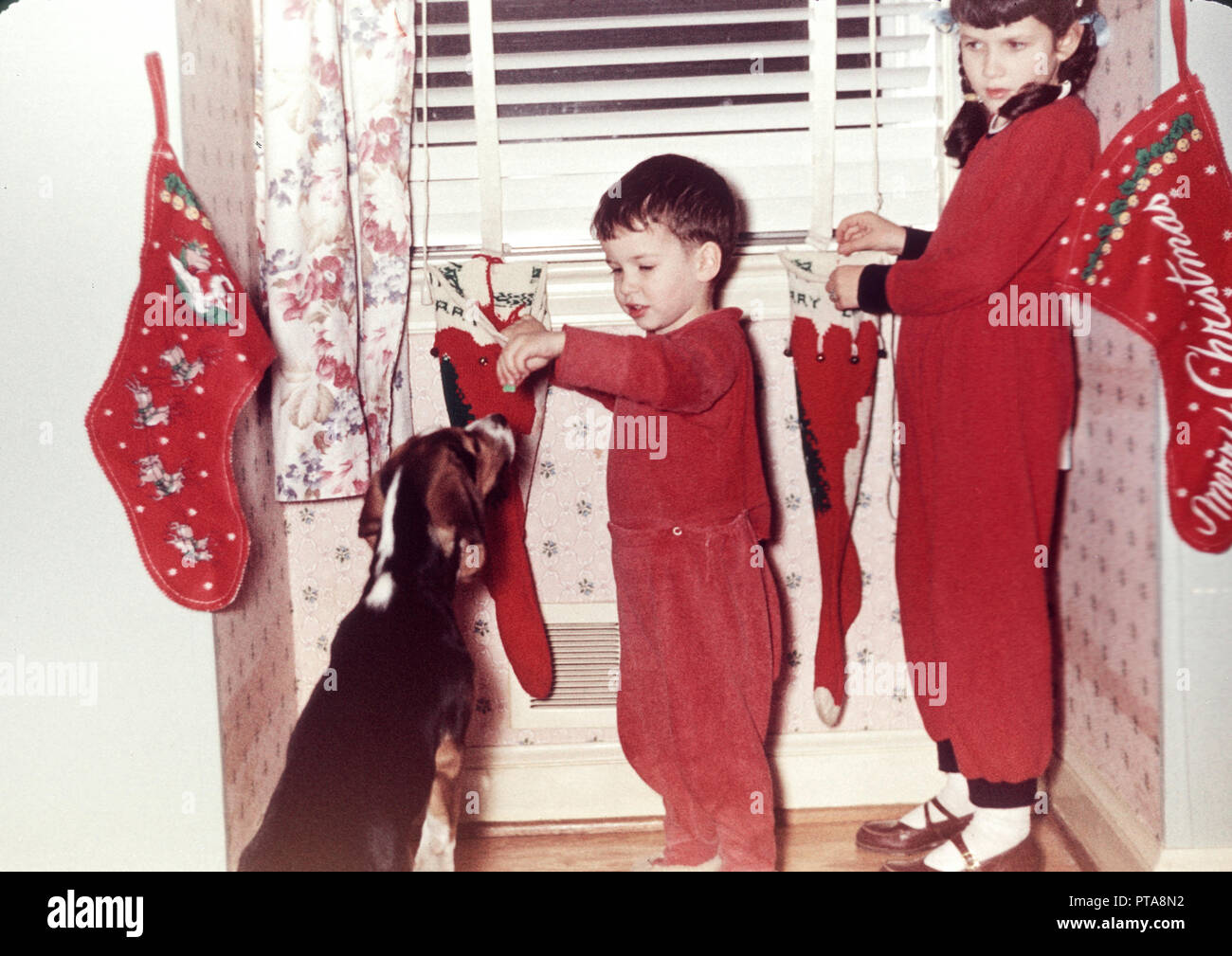 1950er Bruder und Schwester Weihnachten Aktivitäten, USA Stockfoto
