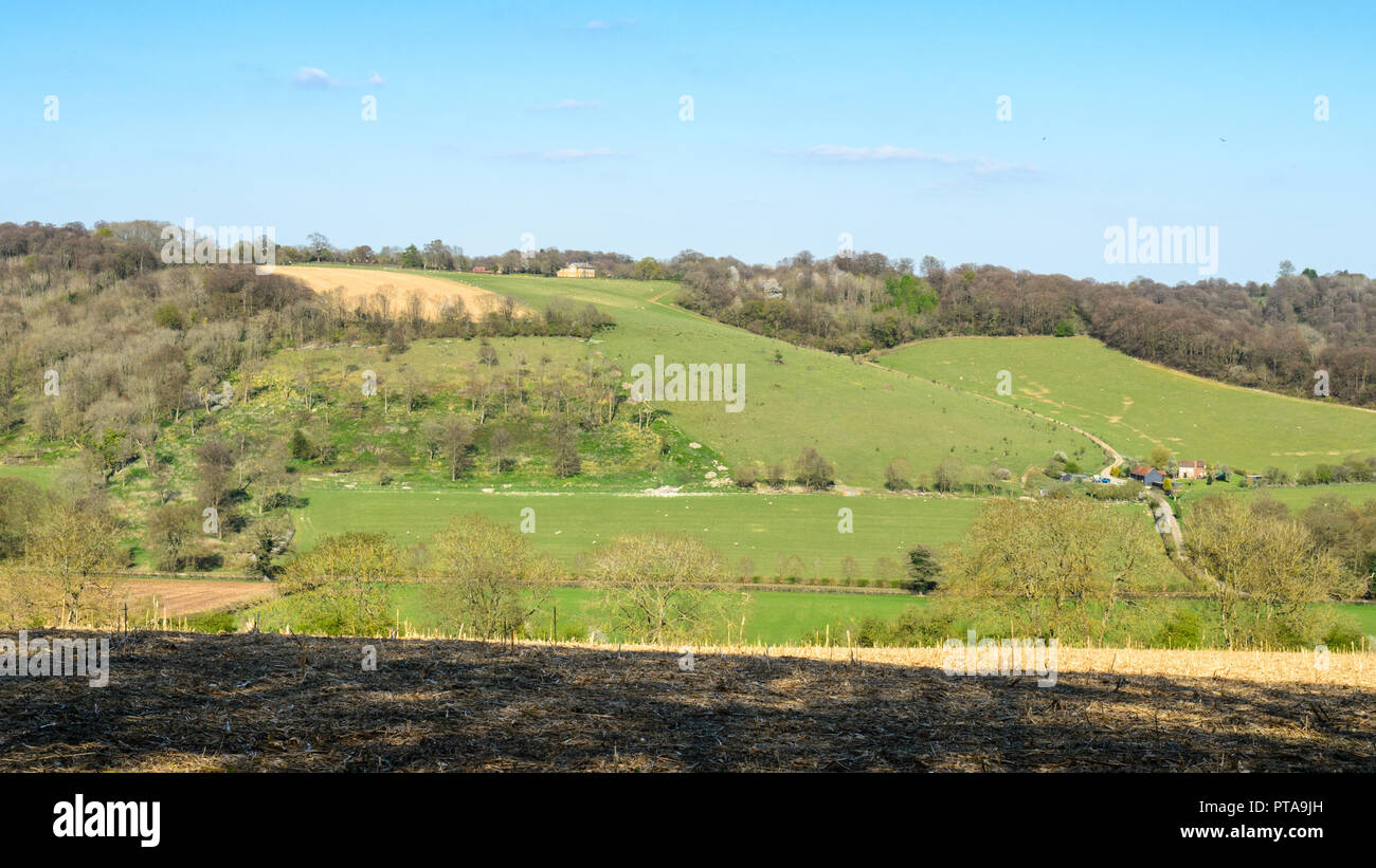 Felder von Weide und landwirtschaftlichen Gebäuden Mix mit Wald Bäume an den Hängen der Hügel des Chilterns in Englands Home Counties. Stockfoto