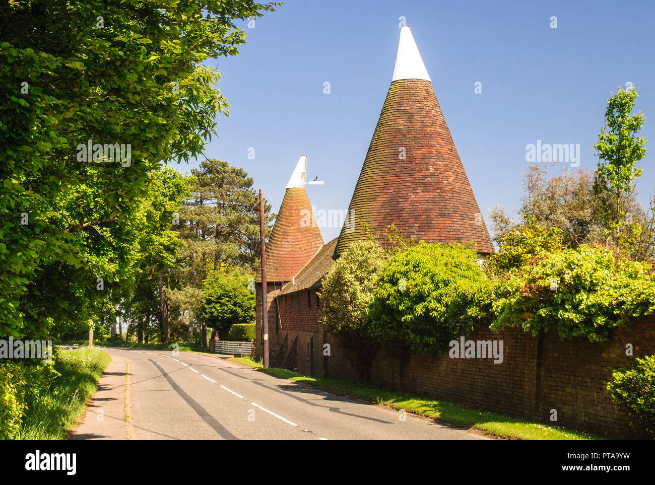 Rye, England, Großbritannien - 8 Juni, 2013: Traditionelle oast Häuser stehen auf der Seite der Landstraße bei Udimore in der Nähe von Rye in East Sussex. Stockfoto