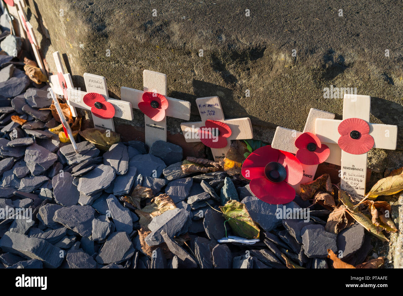 ​Remembrance Tag Roter Mohn auf kleine hölzerne Kreuze neben einem Kriegerdenkmal in Chichester, West Sussex, UK. Stockfoto