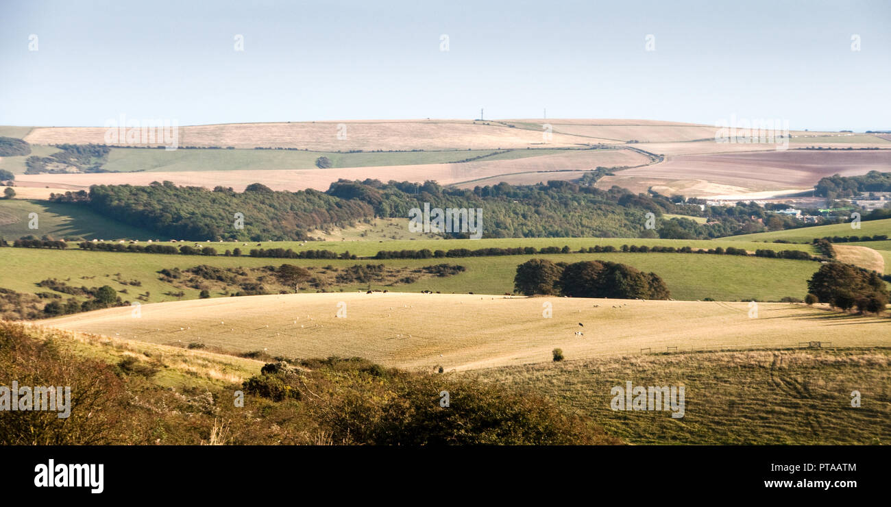 Wald und Ackerland Felder bedecken die Landschaft der South Downs Hügeln in der Nähe von Brighton in Sussex. Stockfoto