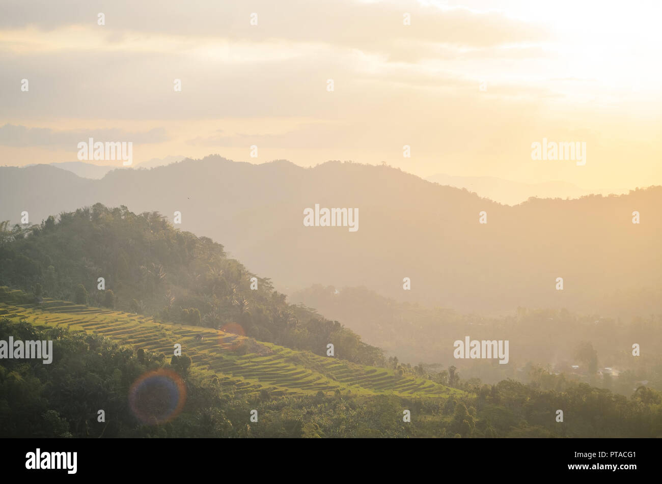 Sonnenuntergang über dem terrassenförmig angelegten ricefield mit Berg im Hintergrund in Ranggu, West Manggarai, Flores Island, Nusa Tenggara Timur, Indonesien Stockfoto