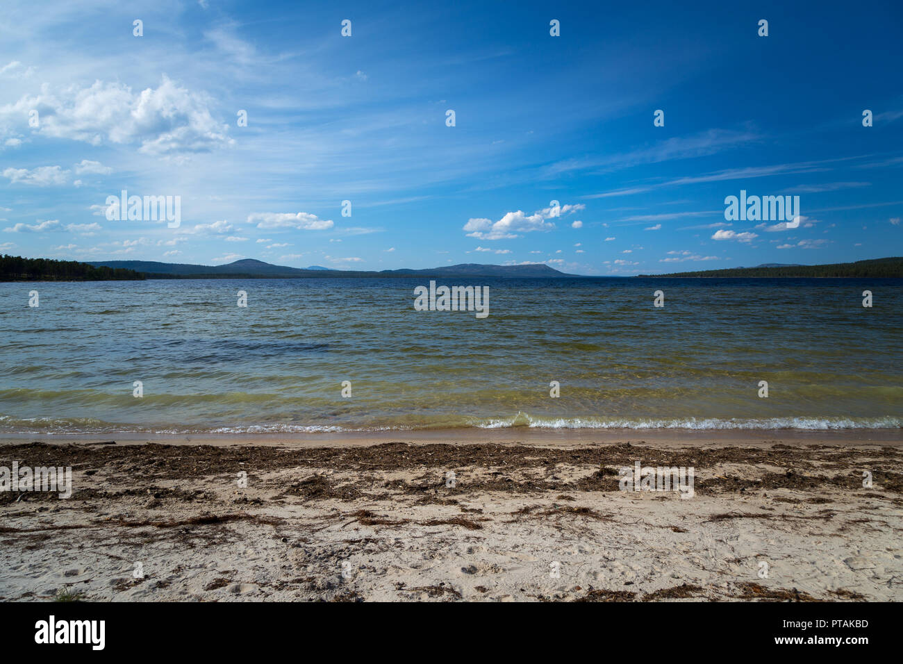 See Femundensee in der femundsmarka Nationalpark in Norwegen. Sommerurlaub Reise. Stockfoto