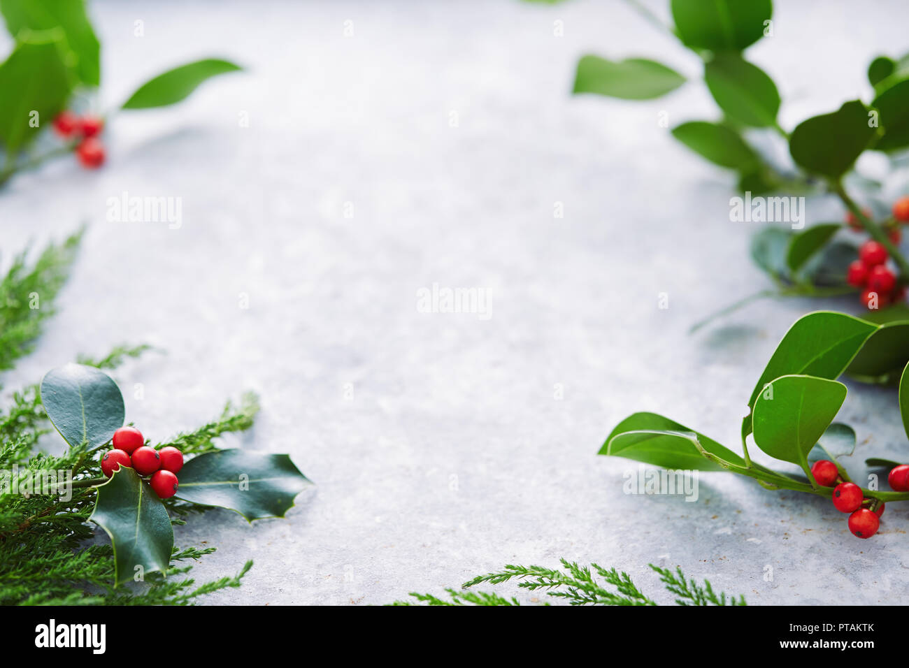 Weihnachtsschmuck, Holly Blätter mit roten Beeren. Die europäische Stechpalme (Ilex Aquifolium) Blätter und Früchte. Stockfoto