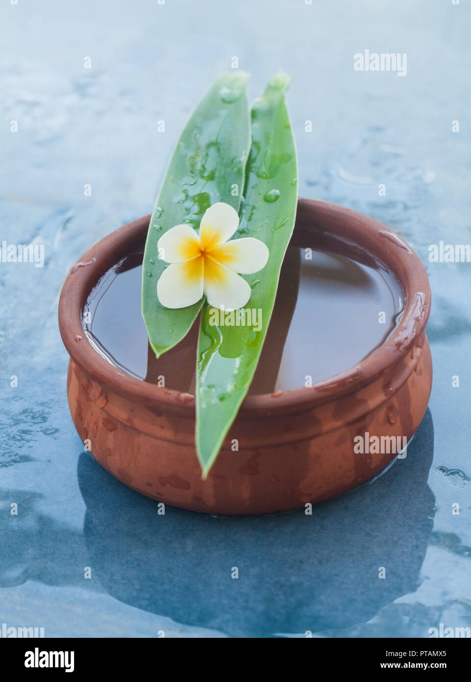 Wunderschöne tropische Blume auf zwei lange grüne Blätter auf die Schüssel mit Wasser Stockfoto