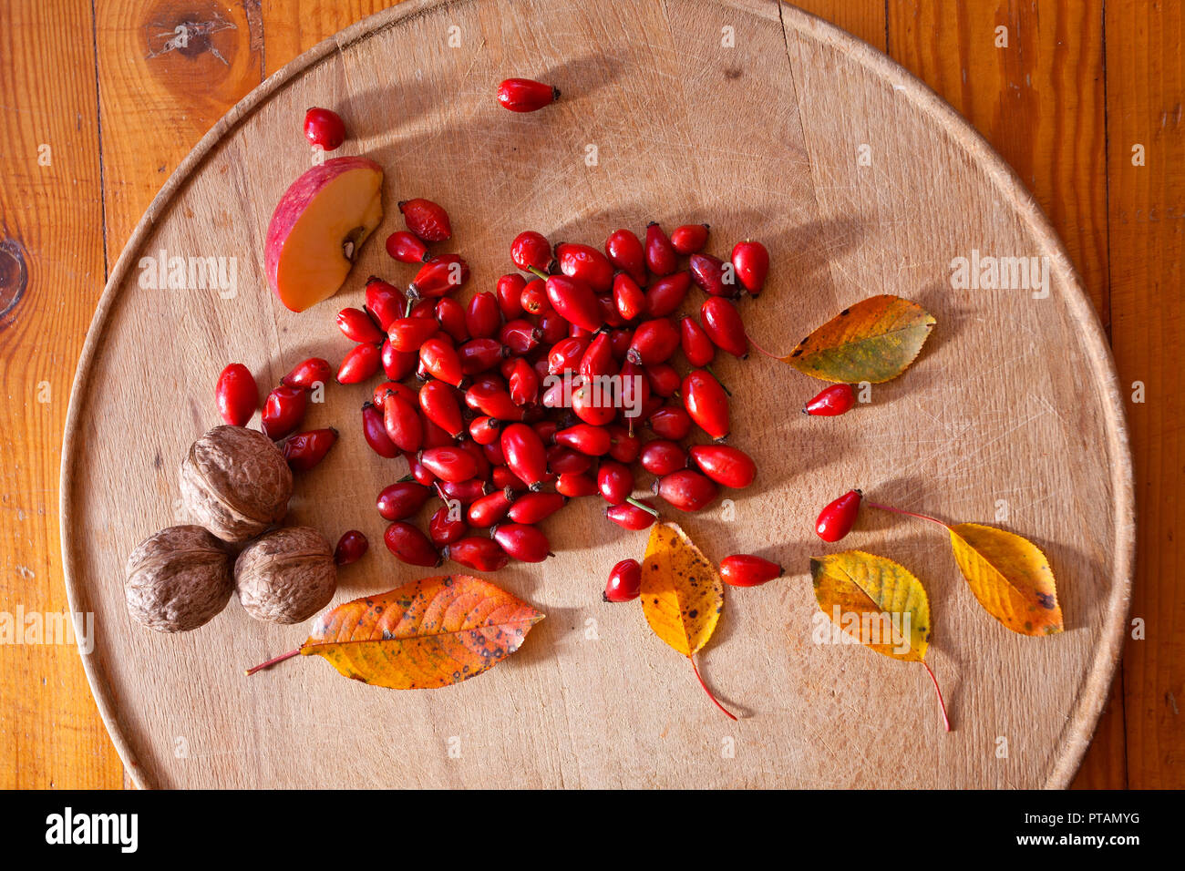 Herbst Früchte, Walnuss und Hüften. Stockfoto