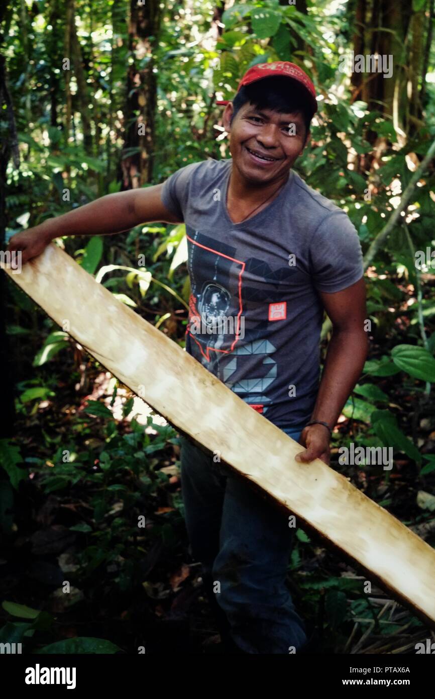 Mazedonien, Amazonien/Kolumbien - Mar 15 2016: Lokale ticuna Stammes- Mitglied mit Rinde von einem Baum ist ein Textil zu verwenden wie Material Stockfoto