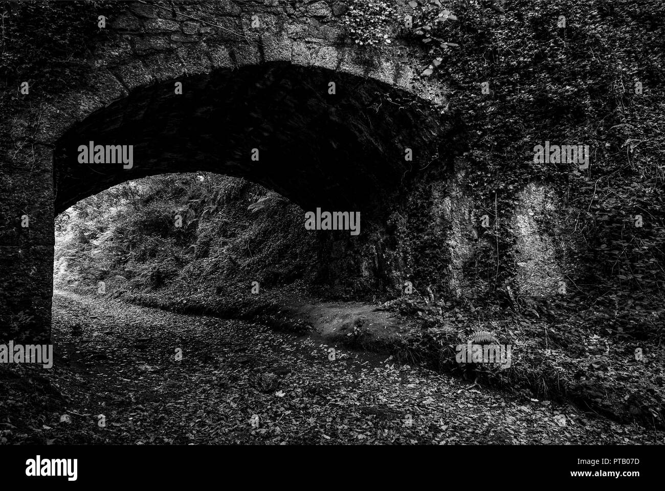 Luxulyon Woods halten viele Artefakte aus Cornwalls insudtrious Vergangenheit, die meisten der übrigen Gebäude sind von weltweit renommierten China Clay industr Links Stockfoto