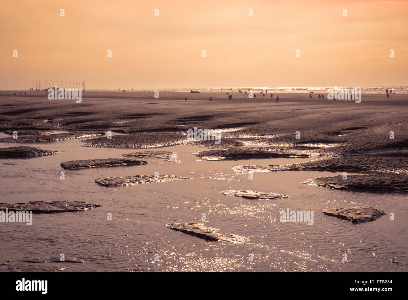 Strand von Berck-Plage, Pas-de-Calais, Frankreich Stockfoto