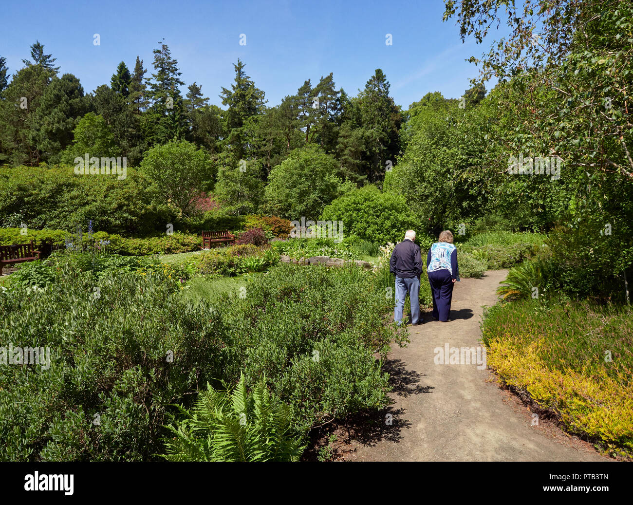 Ein älteres Ehepaar zu Fuß eine geschwungene Pfad im Steingarten Gebiet von St. Andrews Botanic Gardens in Fife, Schottland. Stockfoto