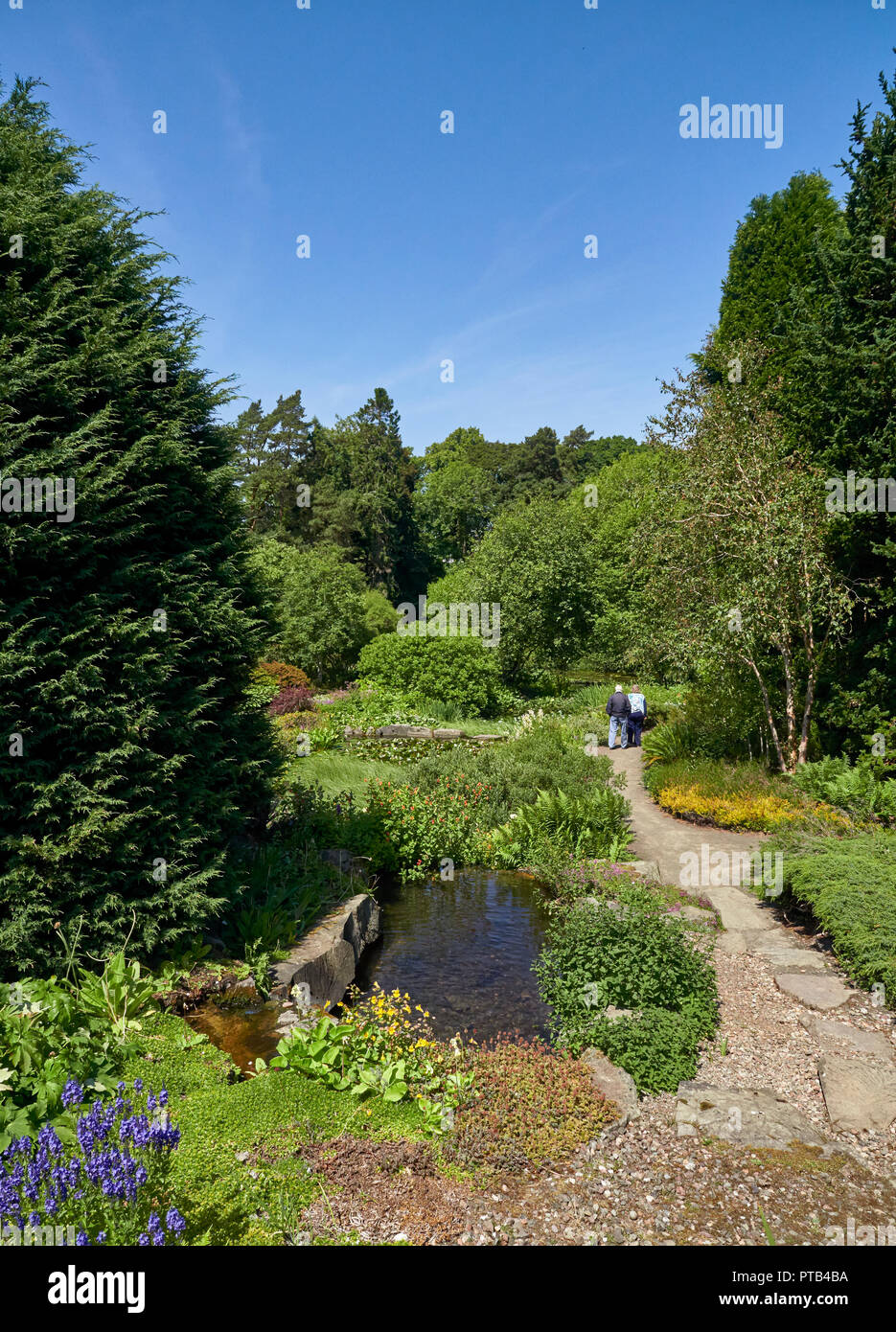 Ein älteres Paar gehen Sie einen Weg im Steingarten Gebiet von St. Andrews Botanic Gardens in Fife, Schottland. Stockfoto