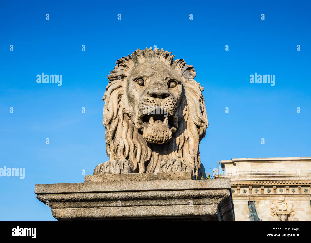 Budapest Lion Skulptur hautnah auf der Kettenbrücke über die Donau Stockfoto