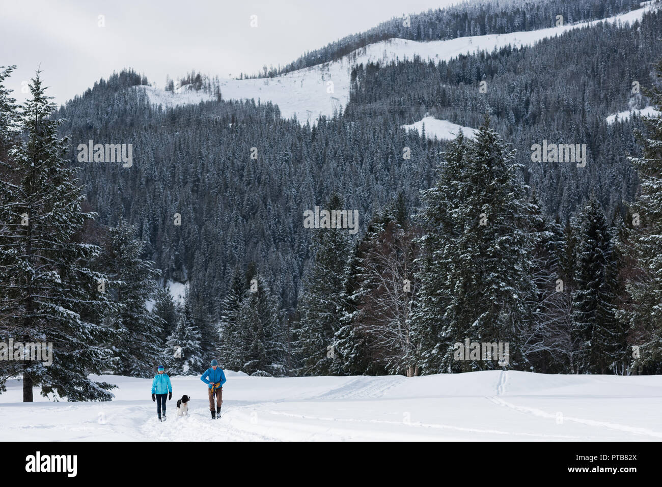 Paar mit Hund Wandern im Schnee Landschaft Stockfoto