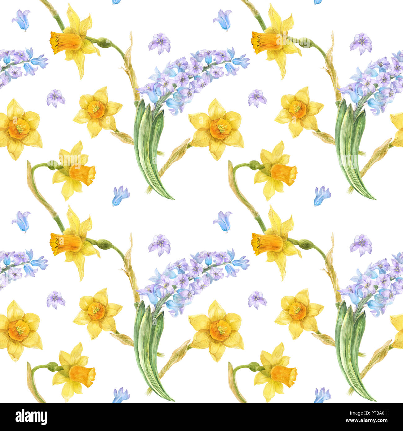 Aquarell botanischer Illustration im Landhausstil. Blaue Hyazinthe und gelbe Narzisse auf einem weißen. Nahtlose Muster, Pfad enthalten Stockfoto