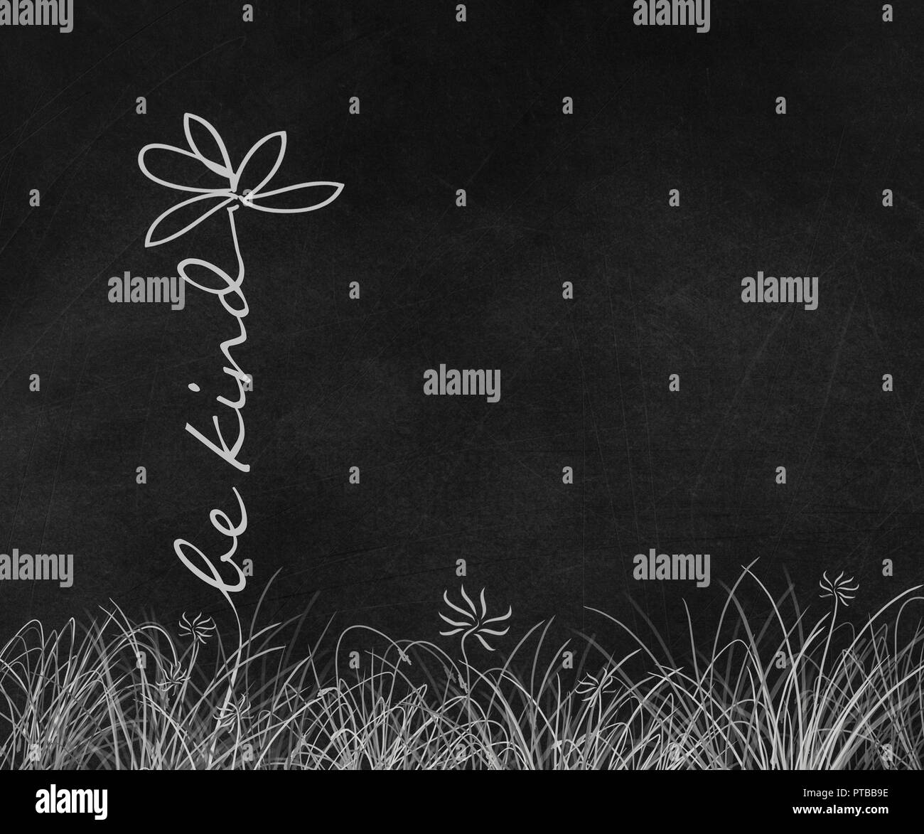 Art Text white daisy flower Grafik im Gras auf alten schwarzen Tafel. Stockfoto