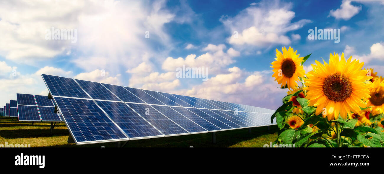 Landschaft mit Photovoltaik-anlage, Sonnenblumen und Cloud Sky Stockfoto