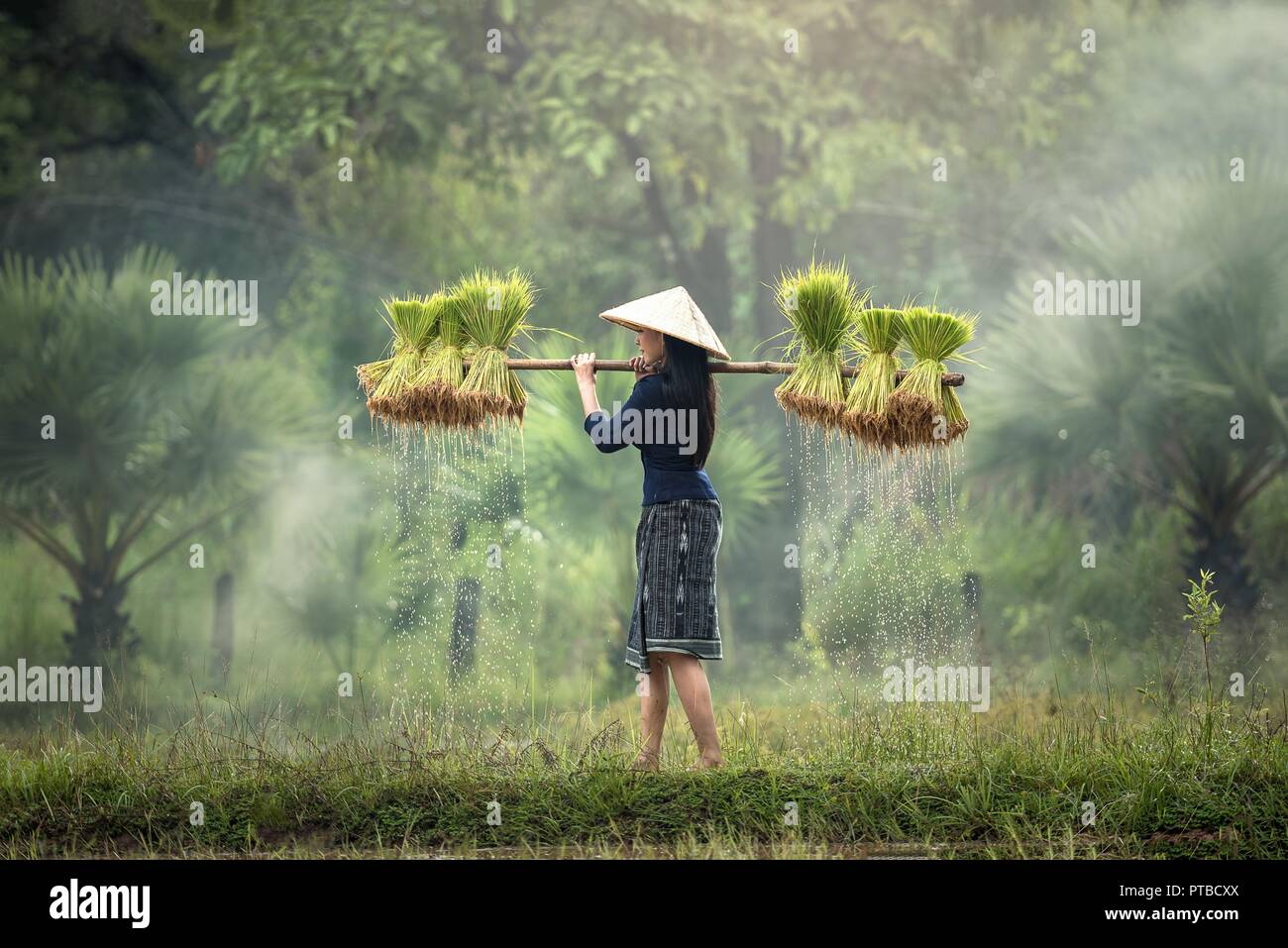 Landschaft Landschaft Stockfoto
