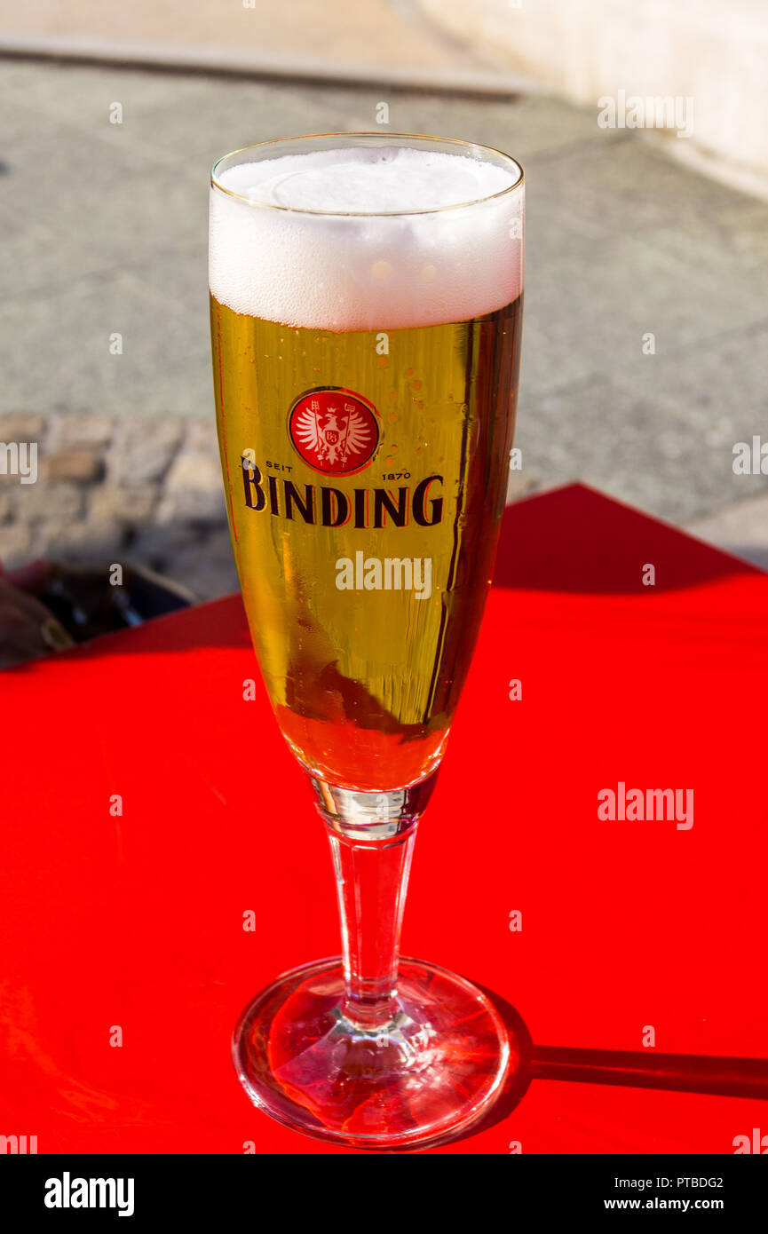 Ein Glas Binding Lager auf einem Tisch, Frankfurt, Hessen, Deutschland Stockfoto
