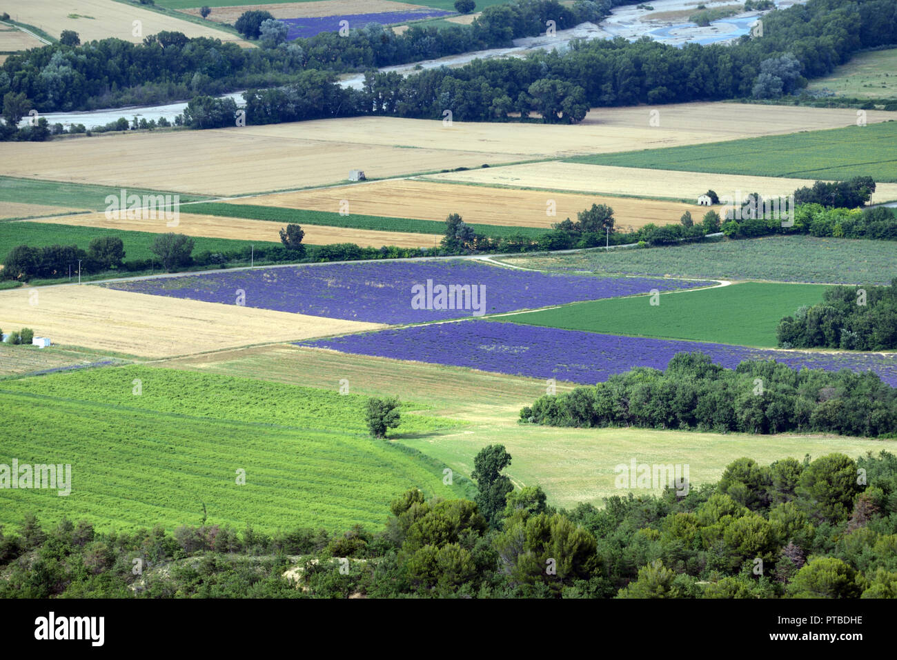 High-Angle oder Luftbild von Weizen und Lavendel Feld Muster, die in der Asse Tal Schuß vom Plateau von Valensole Provence Frankreich Stockfoto