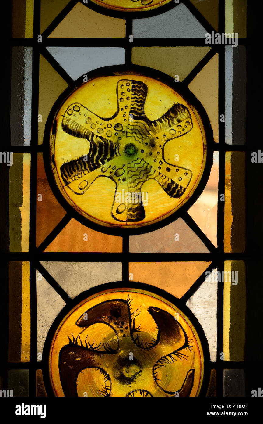 Abstrakte oder geometrische Muster der Glasfenster in der Kirche von Saint Trophime Arles Provence Frankreich Stockfoto