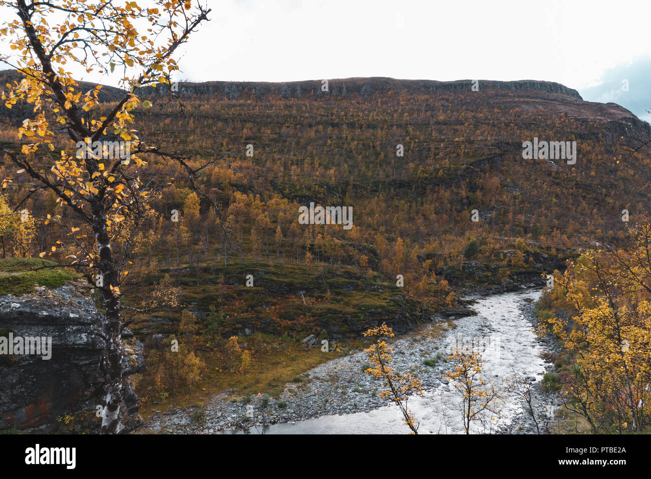 Schöne Rovijoki und fallen Farben in Skibotn, Norwegen Stockfoto