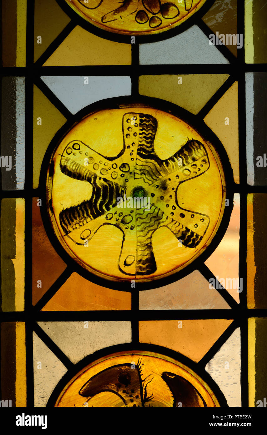 Abstrakte oder geometrische Muster der Glasfenster in der Kirche von Saint Trophime Arles Provence Frankreich Stockfoto