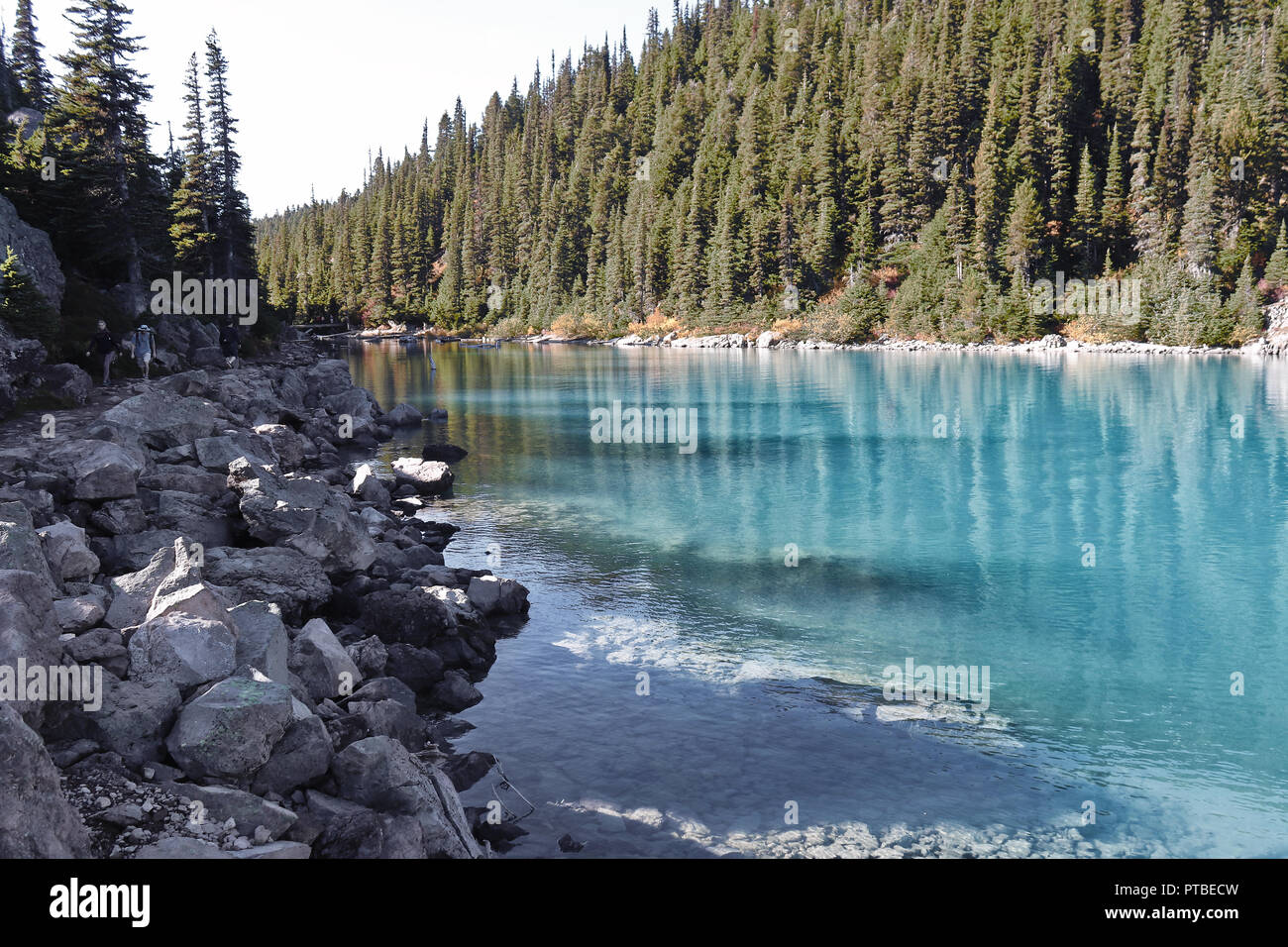 Garibaldi Provincial Park Stockfoto