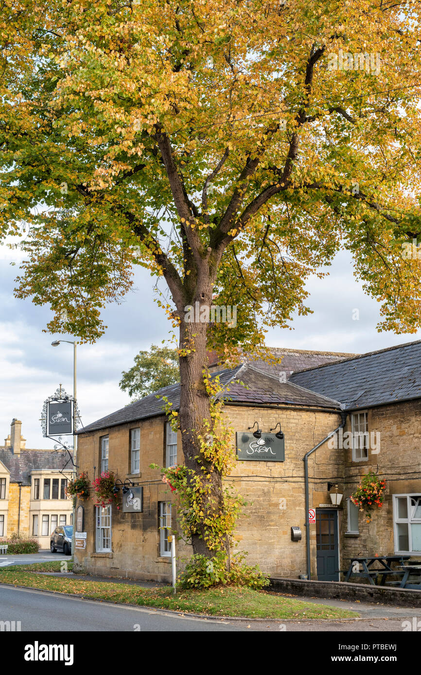 The Swan Inn und Lime Tree, das Ändern der Farbe in den Herbst. Moreton in Marsh, Cotswolds, Gloucestershire, England Stockfoto