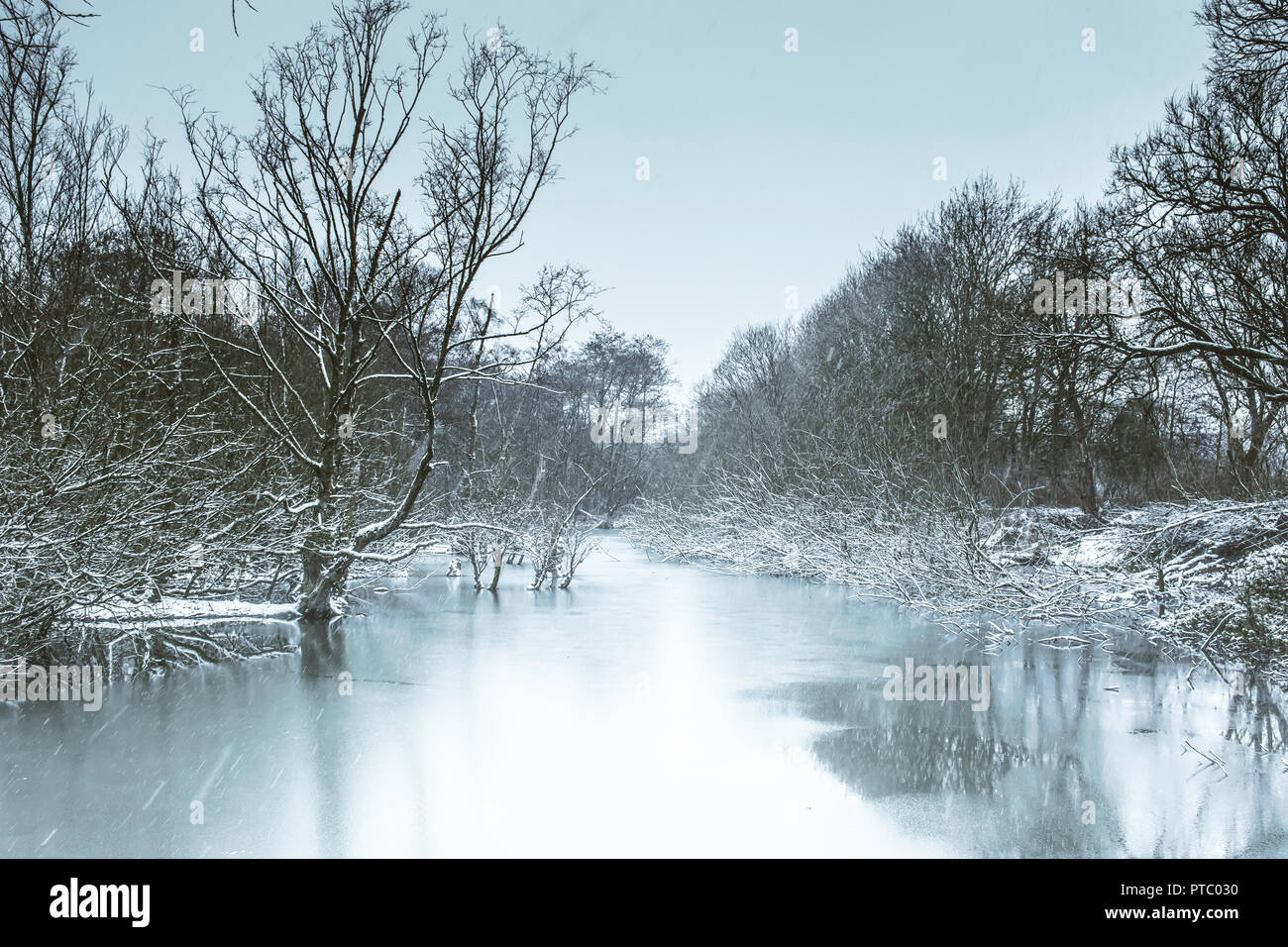 Winter wonderland Landschaft. gefrorenen See in britischen Woodland und fallenden Schnee. Eisschicht auf Teich Oberfläche in Wüste, verschneiten Wald landschaft. gefrorenen Teich. Stockfoto