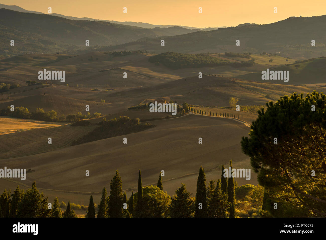 Toskanische Landschaft im Val d'Orcia, Toskana, Italien, Europa Stockfoto