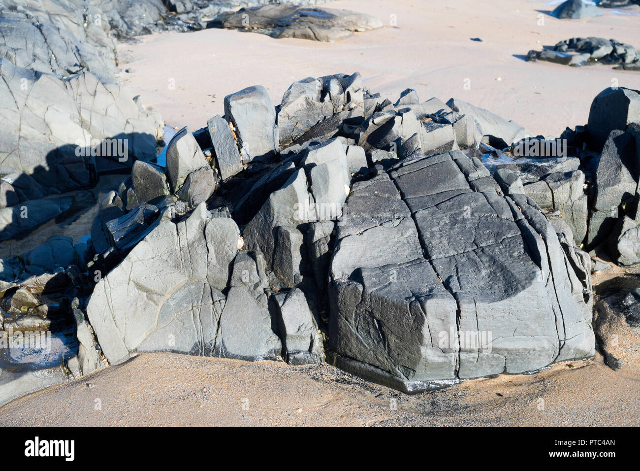 Felsvorsprung von Basalt, Embleton Bay, in der Nähe von Low Newton-By-The-Sea, Northumberland, England, Großbritannien Stockfoto