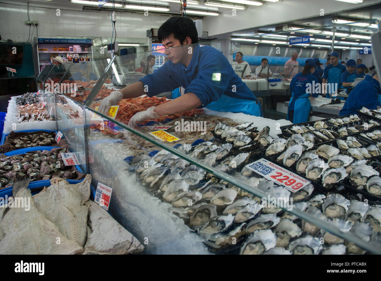 Innerhalb der Sydney Fish Market mit gut beleuchteten Ständen und Zähler in verschiedenen Fisch, Austern und Meeresfrüchte. Stockfoto