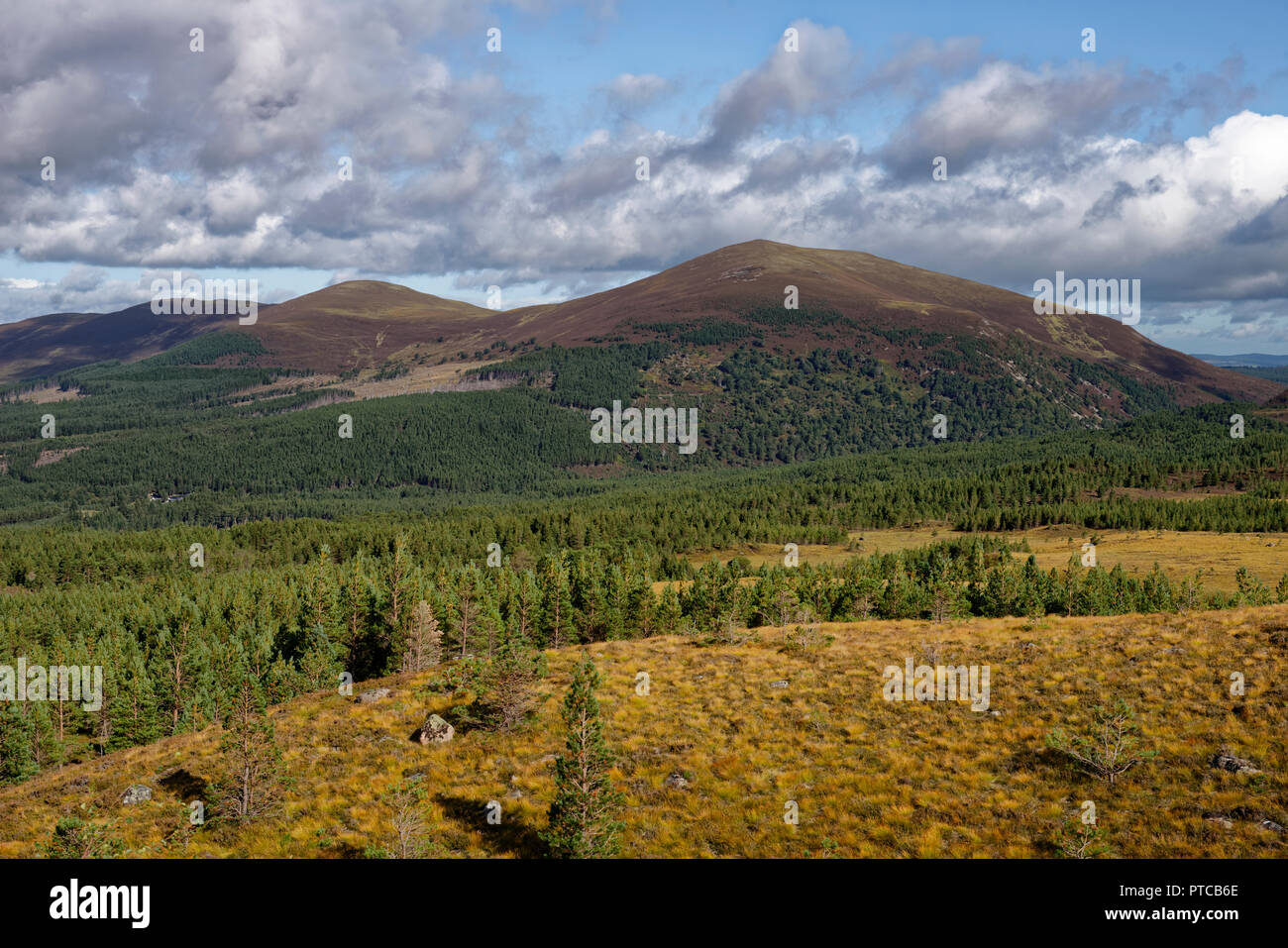 Glen Mehr mit Creagan Gorm und Meall eine Bhuachaille hinter und Ryvoan Pass rechts, Cairngorms, Schottland Stockfoto