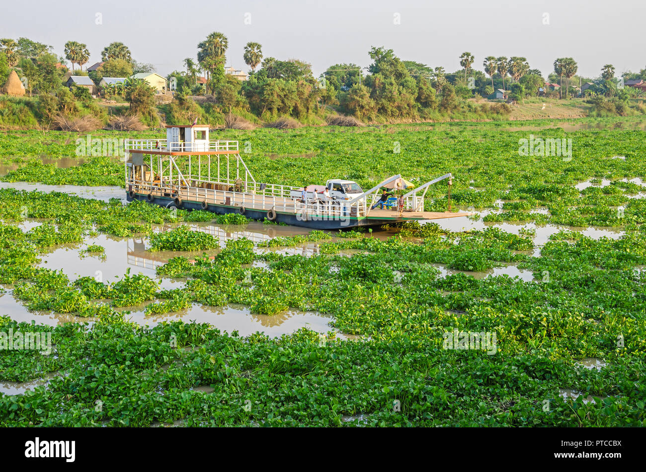 Siem Reap, Kambodscha - April 10, 2018: Tonle Sap See mit invasiver Wasserhyazinthe und eine Fähre Transport Autos und Passagiere abgedeckt Stockfoto