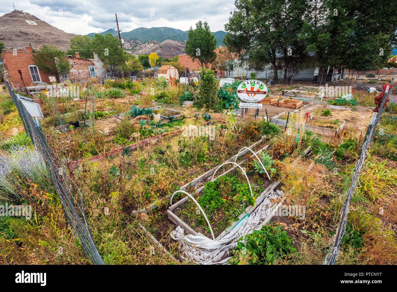 Oktober; Garten; Gemeinschaft Salida Salida, Colorado, USA Stockfoto