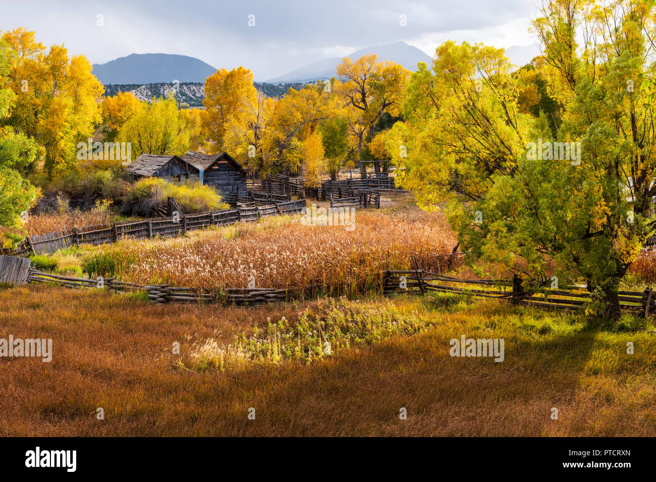 Herbst, üppigen Weide; Old Ranch Gebäude; am Arkansas River; felsige Berge; Colorado; USA Stockfoto