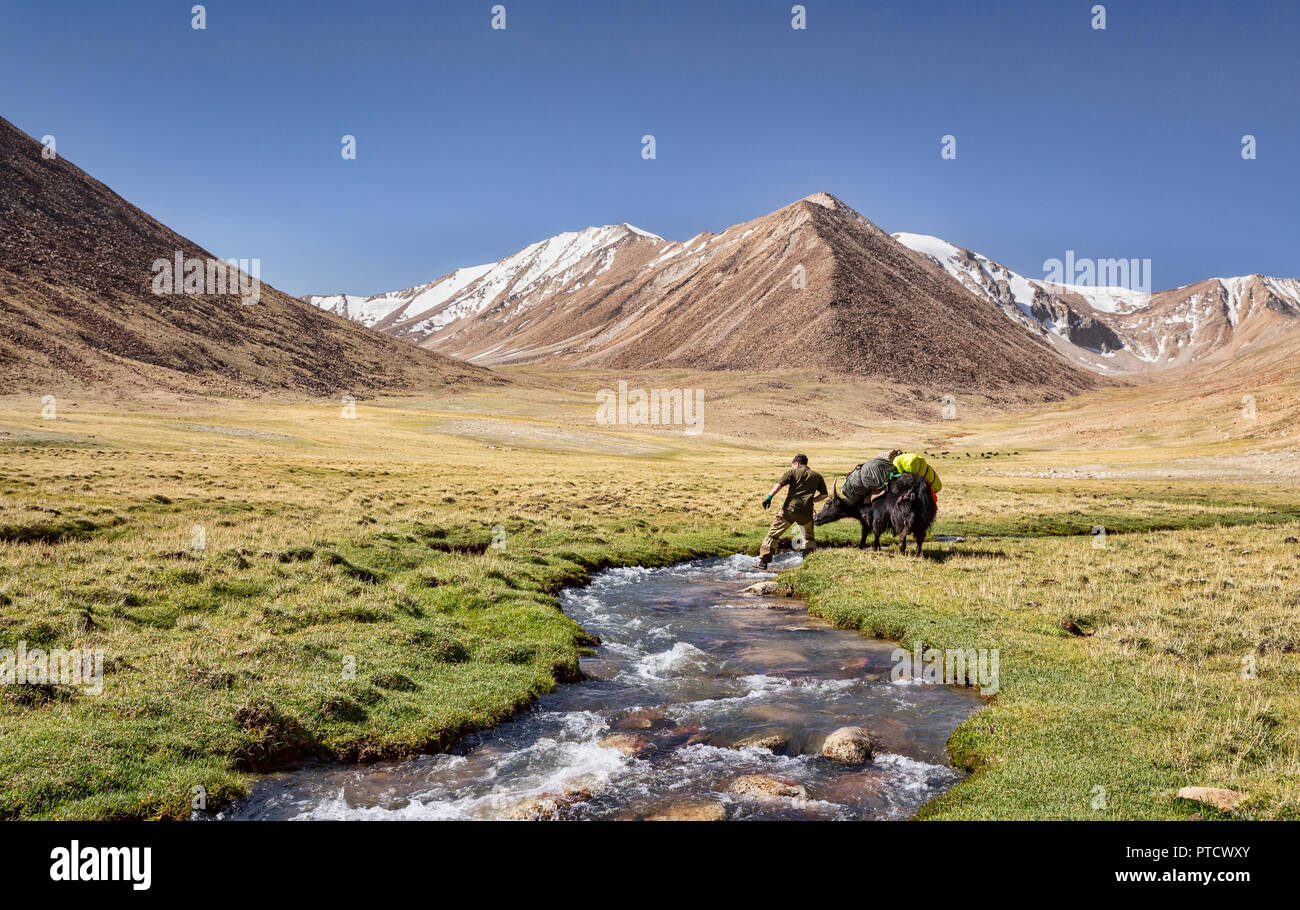 Kirgisischen Hirten in Keng Shiber mit Yak verpackt für die Expedition von Keng Shiber Kara Jilga, Pamir, Gorno-Badakhshan, Tadschikistan. Stockfoto