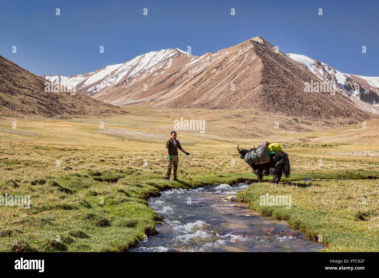 Kirgisischen Hirten in Keng Shiber mit Yak verpackt für die Expedition von Keng Shiber Kara Jilga, Pamir, Gorno-Badakhshan, Tadschikistan. Stockfoto