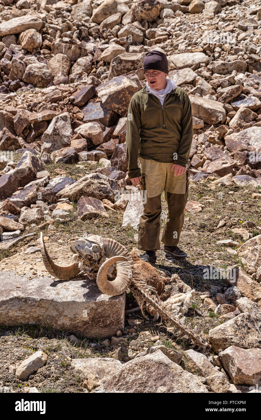 Kirgisische herder steht in der Nähe von Marco Polo Schafe Schädel an der Basis der Bel Airyk Pass auf den spektakulären high-altitude Trek von Keng Shiber Kara Ji Stockfoto