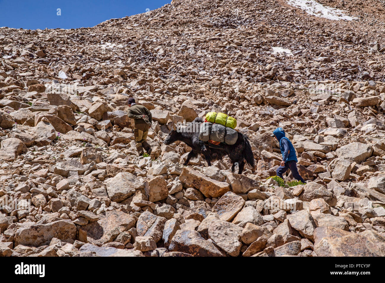 Trekker aufsteigend die Bel Airyk Pass auf der High-altitude Trek von Keng Shiber Kara Jilga, vorbei an Lake Zorkul, Pamir, Tadschikistan. Stockfoto