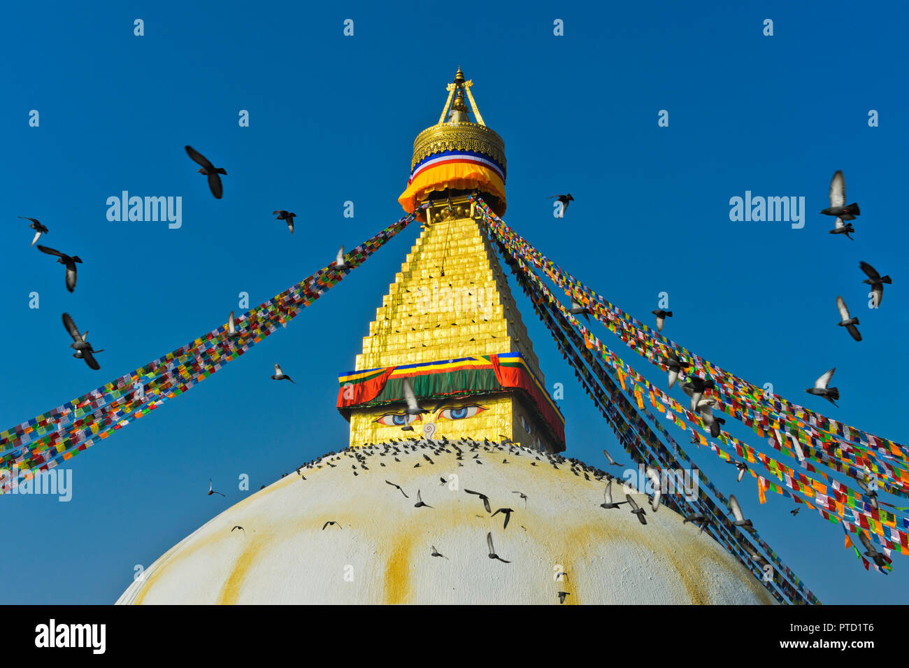 Boudhanath Stupa mit einem Schwarm Tauben in den Himmel fliegen, Kathmandu, Nepal Stockfoto