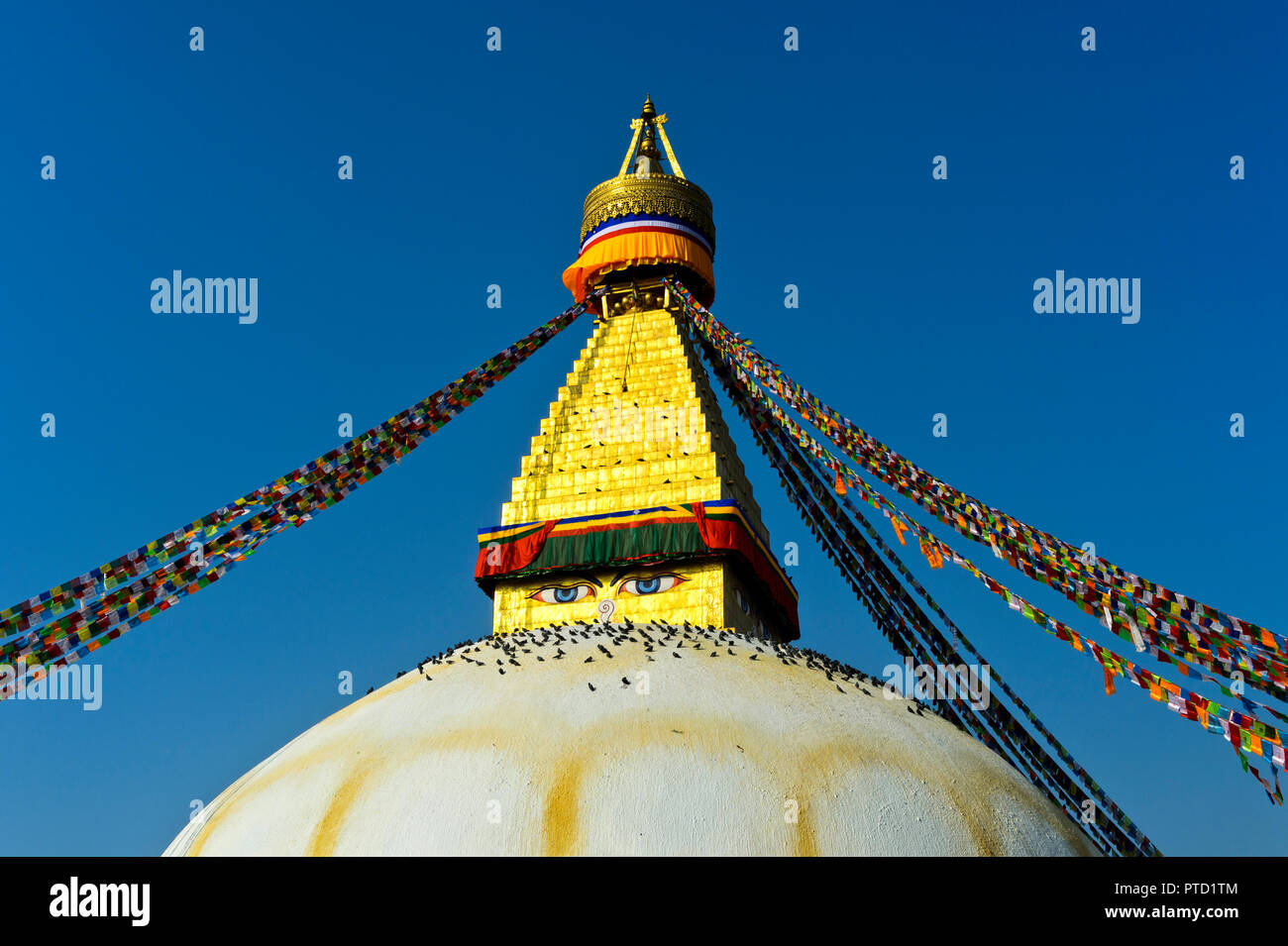 Boudhanath Stupa mit Vögeln, Kathmandu, Nepal Stockfoto