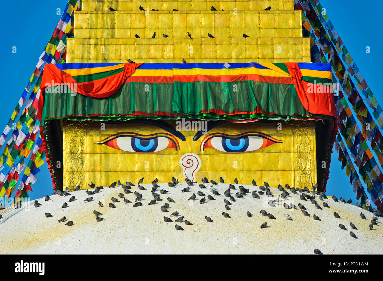 Buddhas Augen in Boudhanath Stupa, mit Vögeln, Kathmandu, Nepal Stockfoto
