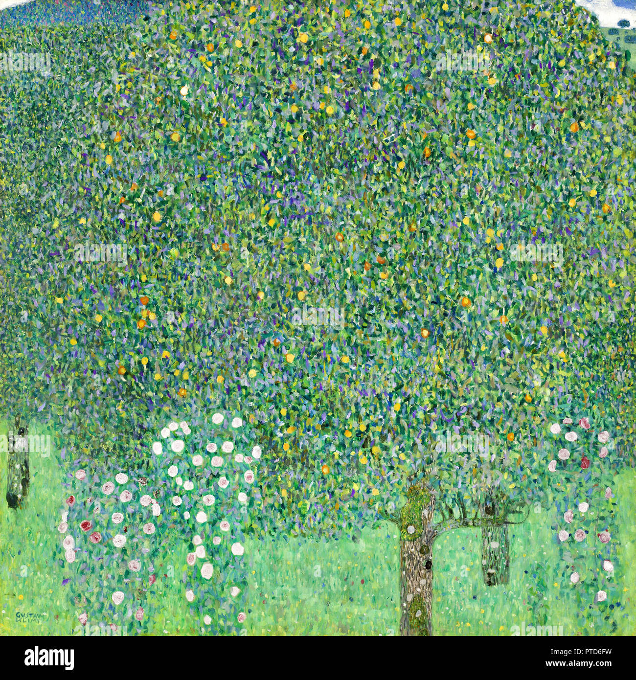 Gustav Klimt, Rosensträucher unter den Bäumen, ca. 1905 Öl auf Leinwand, Musée d'Orsay, Paris, Frankreich. Stockfoto