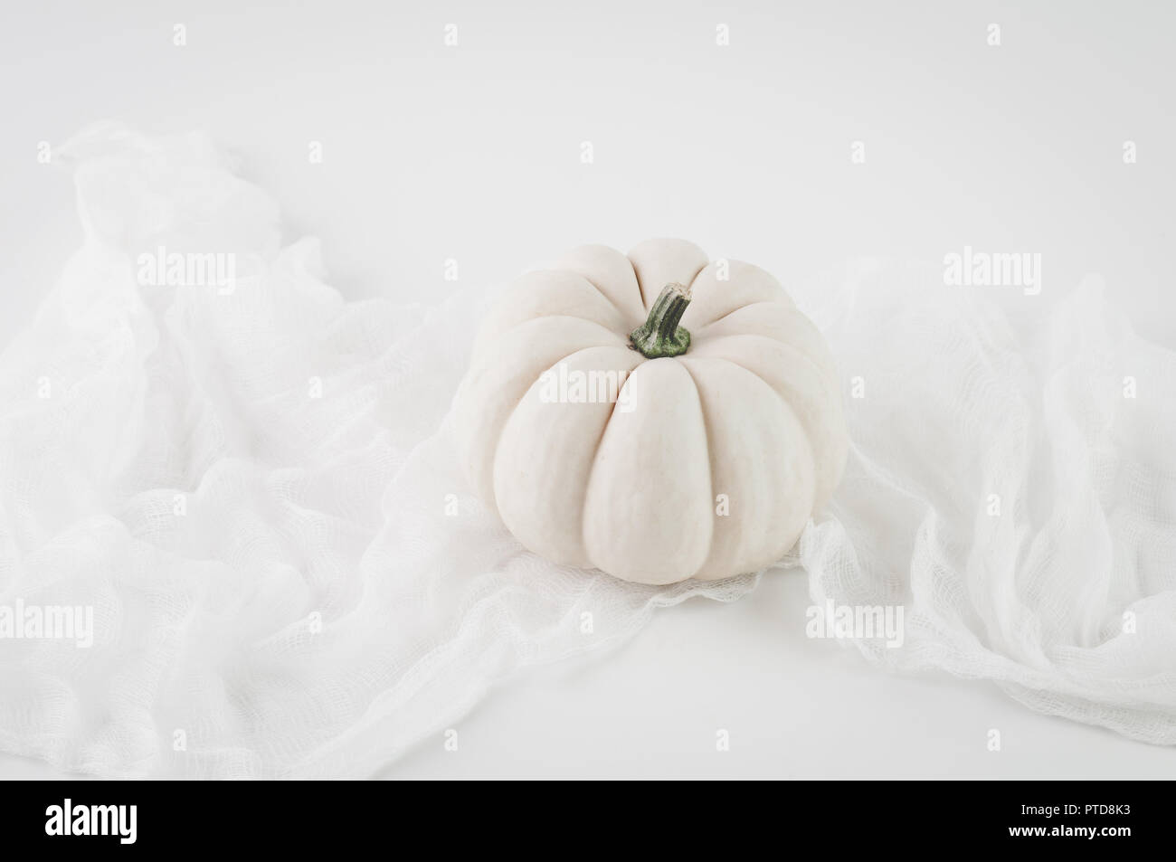 Einzelne weiße Kürbis für Halloween oder thanksgiving Dekor Stockfoto