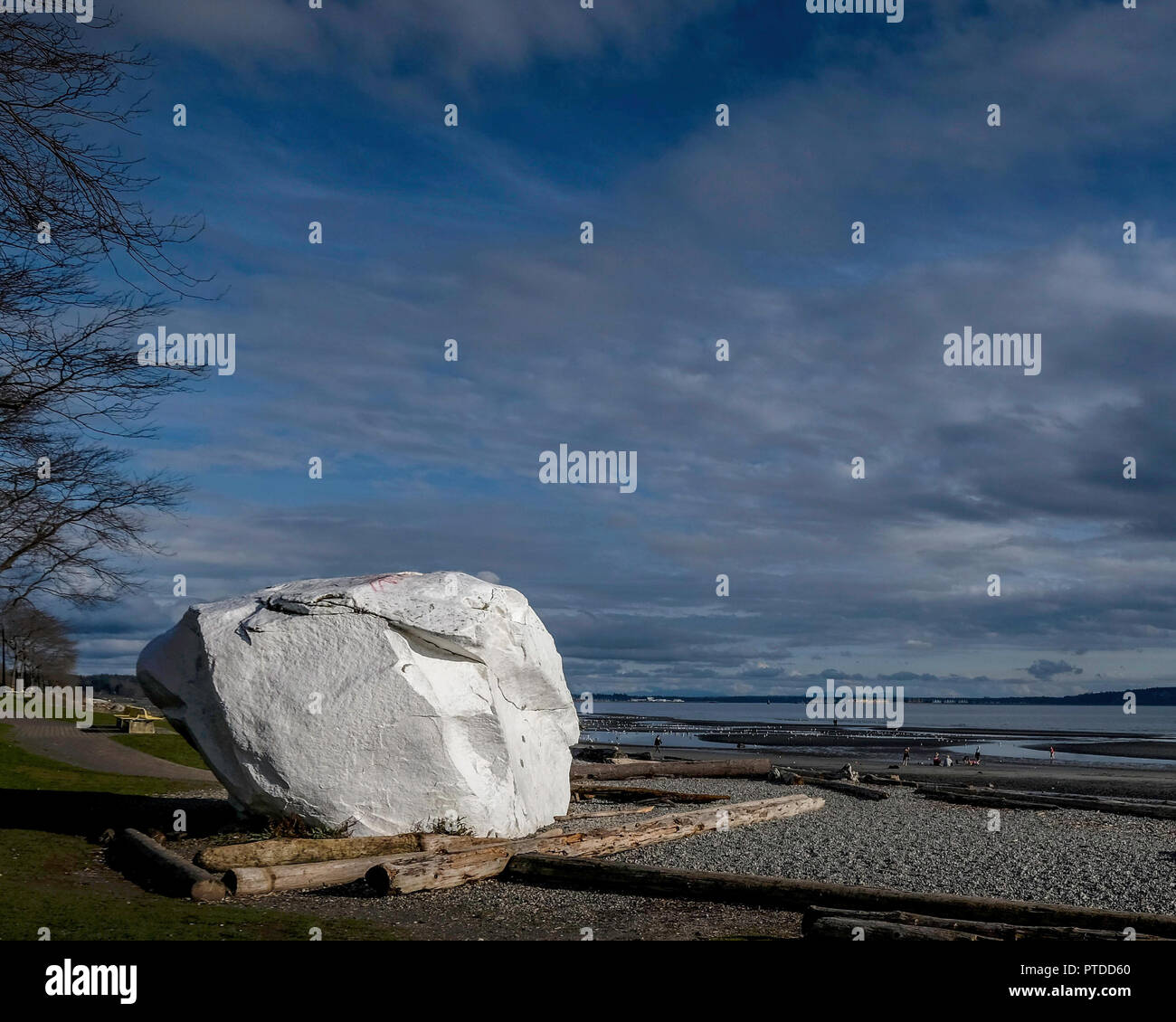 Ein großer weißer Rock, stoisch und stark, am Strand von White Rock Stockfoto