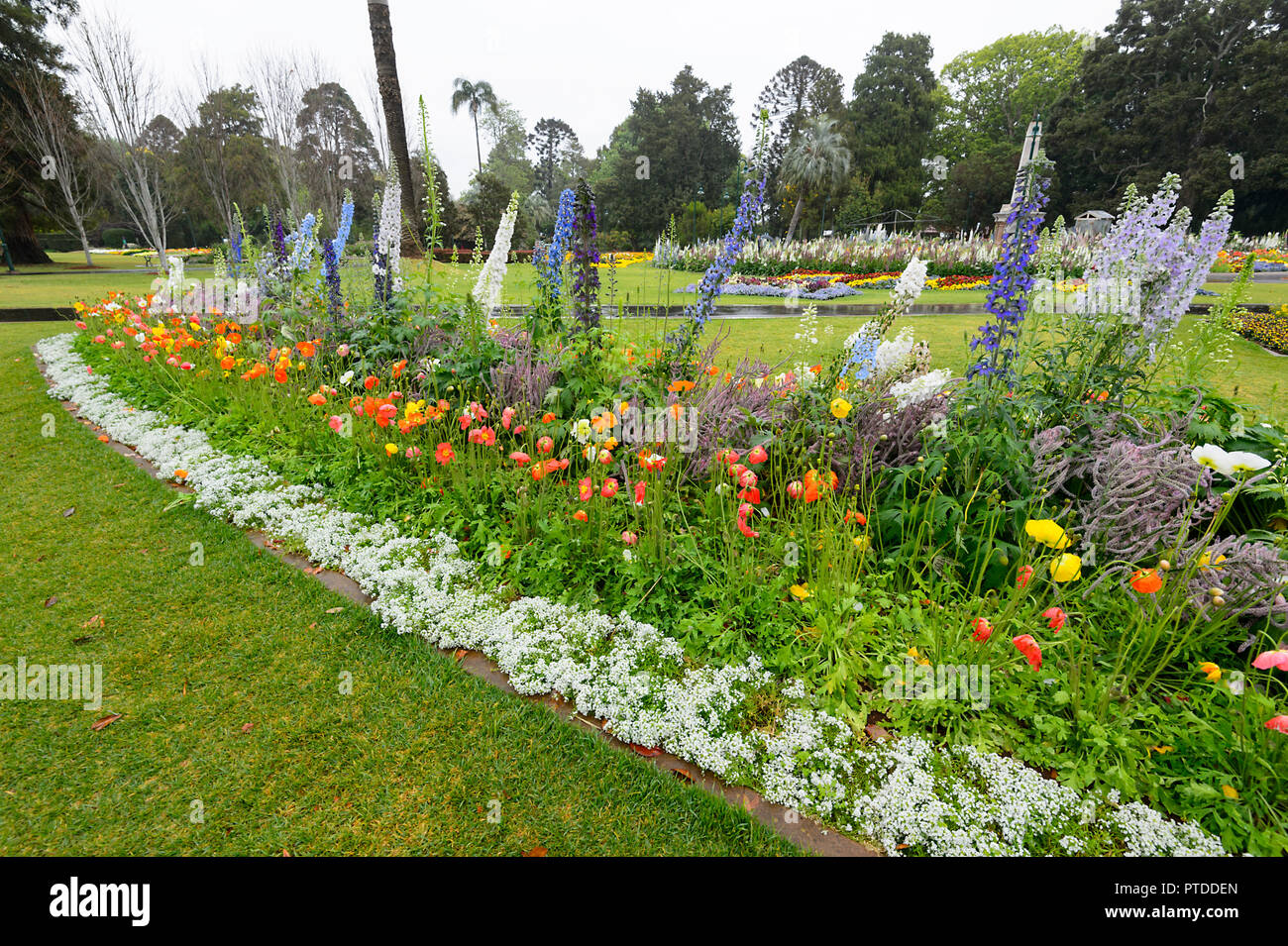 Karneval der Blumen an denkmalgeschützten Queen's Park Botanischer Garten, Toowoomba, südlichen Queensland, Queensland, Australien Stockfoto