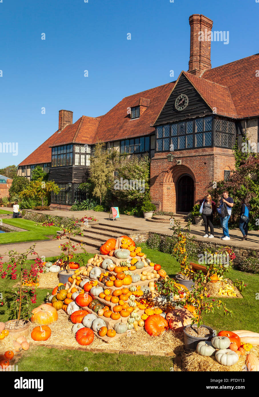 RHS Wisley Gardens, Surrey, England, UK. 9. Oktober 2018. Wisley setzt auf eine prachtvolle Herbstliche Kürbisse und Kürbisse. Quelle: Tony Watson/Alamy leben Nachrichten Stockfoto