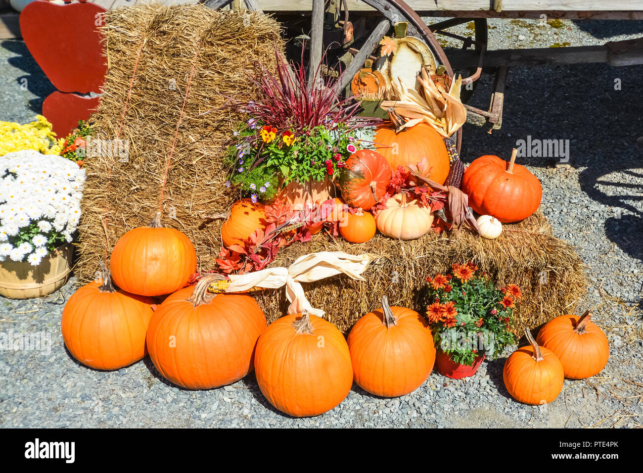 Herbst Blumen und Kürbisse Dekoration auf Stroh-Ballen neben wagon wheel Stockfoto