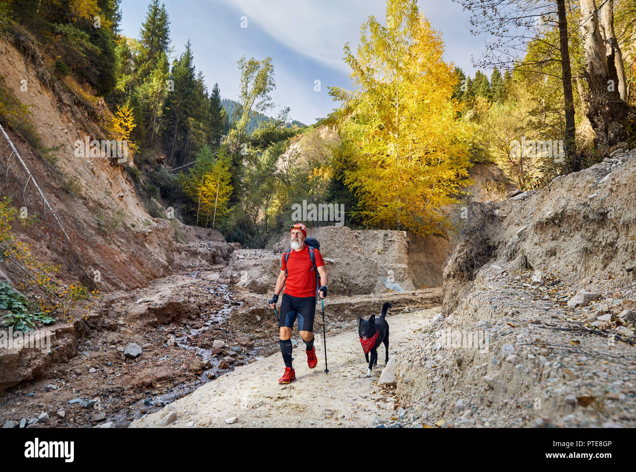 Alter Mann mit weißem Bart und schwarzer Hund wandern im Canyon im Herbst. Outdoor Travel Concept Stockfoto